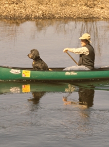 Canoeing with Pet Dog